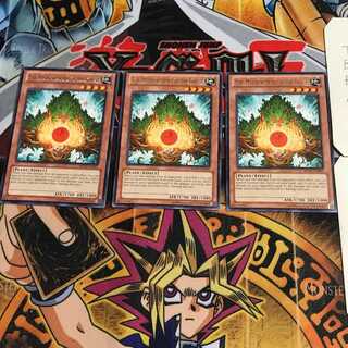 英語版 森の聖霊 エーコ REDU 1 レア 3枚セット てら