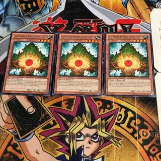 English Eco, Mystical Spirit of the Forest REDU 3 rare, set of 3 Tera.