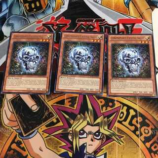 English Chronomaly Crystal Skull REDU 3 rare, set of 3. Tera.