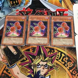 English Revival Rose TSHD 2 Rare, set of 3 Tera.