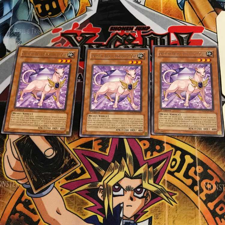 英語版 宝玉獣アメジスト・キャット DP07 1 レア 3枚セット てら