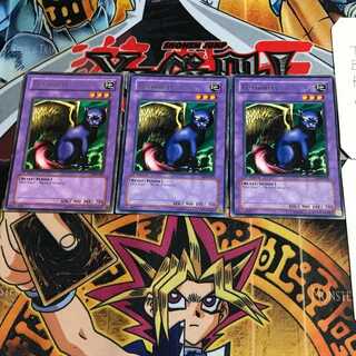 英語版 フュージョニスト LOB 1 レア 3枚セット てら