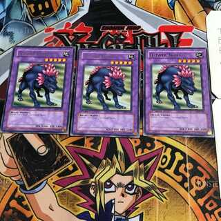 英語版 フラワー・ウルフ LOB 1 レア 3枚セット てら