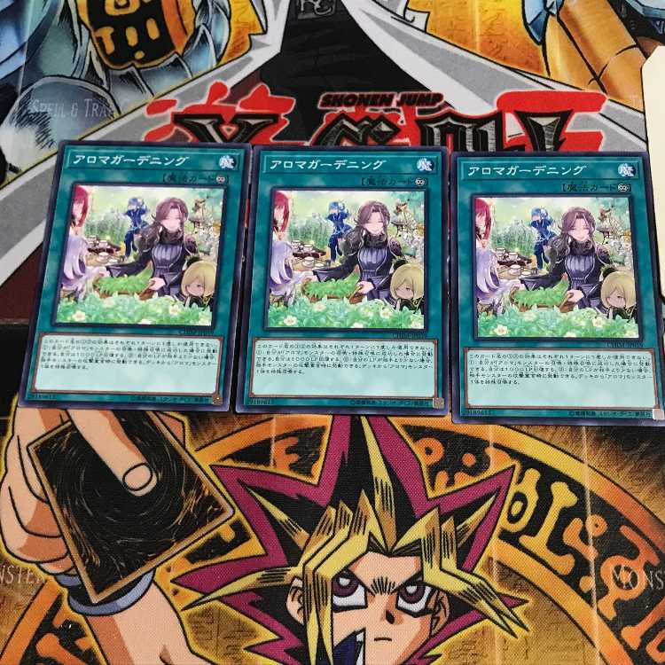 アロマガーデニング 7 ノーマル 3枚セット てら