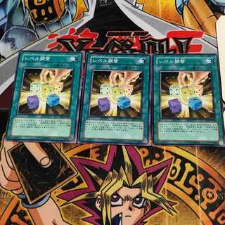 レベル調整 3 ノーマル 3枚セット てら