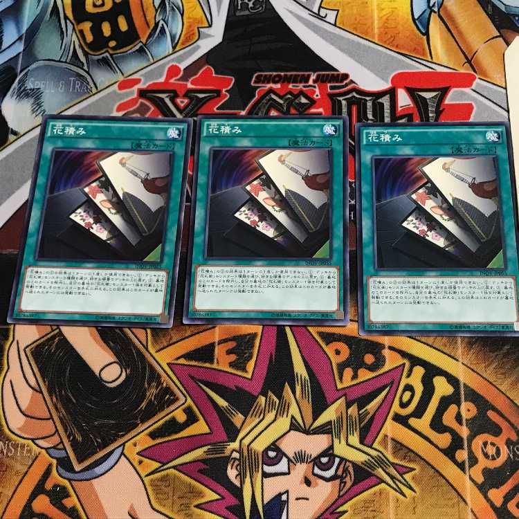 花積み 10 ノーマル 3枚セット てら