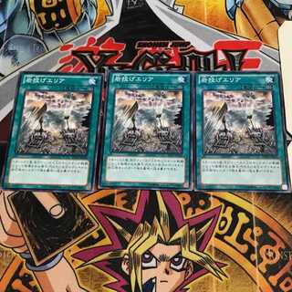 岩投げエリア 1 ノーマル 3枚セット てら