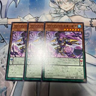 ヴァリアンツの忍者-南月 ノーマル JP003