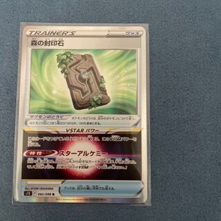 森の封印石 R 092/098