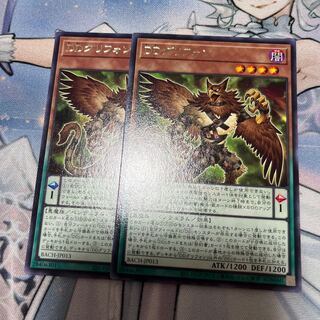 DD Griffon Rare JP013