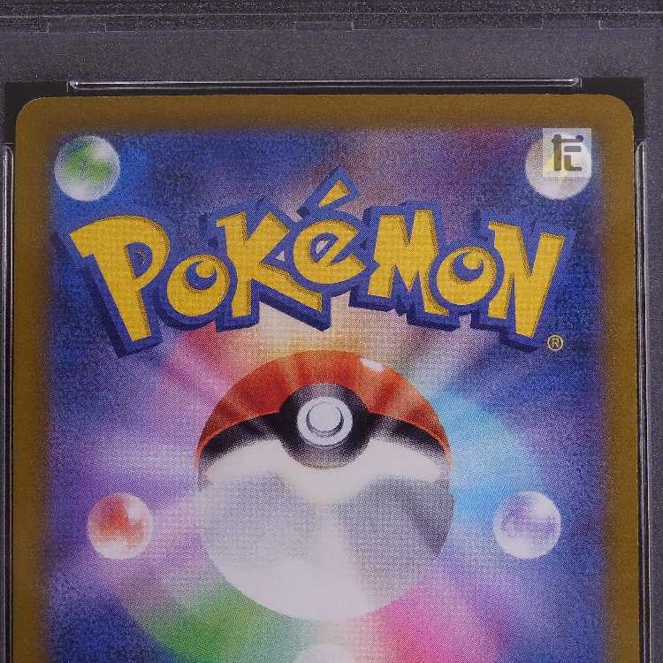 【PSA10】リザードンV SAR 211/172 鑑定品/管理:MP8498