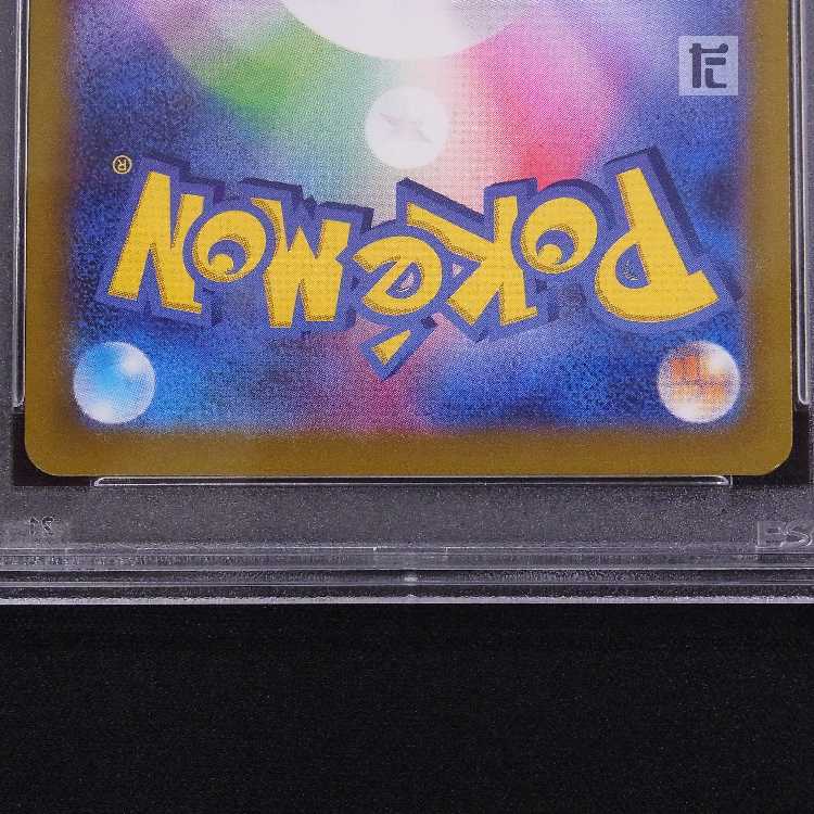 【PSA10】リザードンV SAR 211/172 鑑定品/管理:MP8498