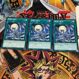 銀龍の轟咆 3 ノーマル 3枚セット てら