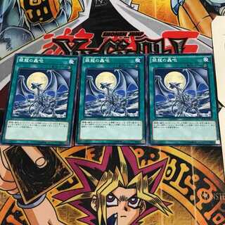 銀龍の轟咆 6 ノーマル 3枚セット てら