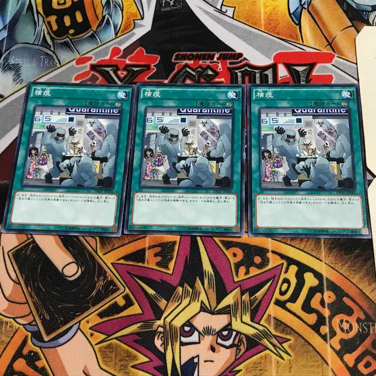 検疫 2 ノーマル 3枚セット てら