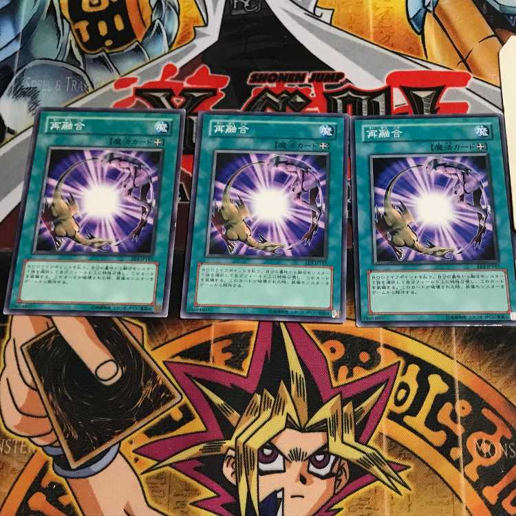 Re-Fusion 6 Normal, set of 3 Tera