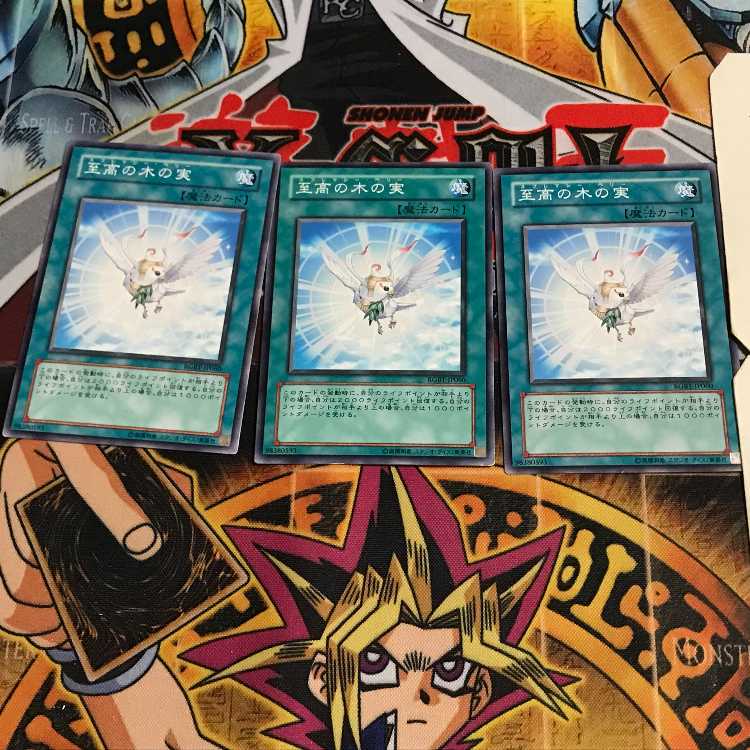 至高の木の実 3 ノーマル 3枚セット てら