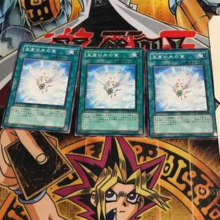 至高の木の実 3 ノーマル 3枚セット てら