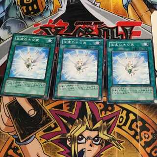 至高の木の実 4 ノーマル 3枚セット てら