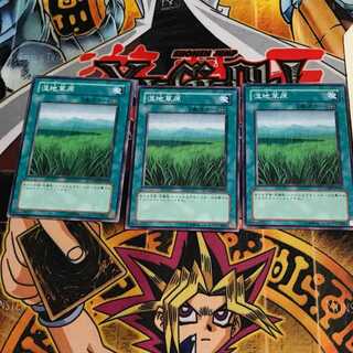 湿地草原 6 ノーマル 3枚セット てら