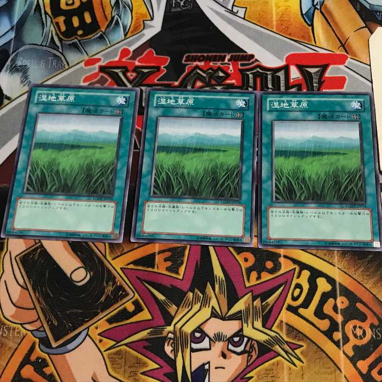 湿地草原 7 ノーマル 3枚セット てら