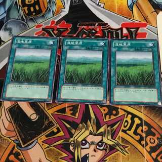 湿地草原 7 ノーマル 3枚セット てら