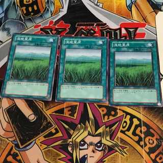 湿地草原 8 ノーマル 3枚セット てら