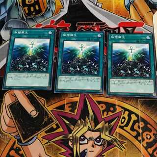 取捨蘇生 3 ノーマル 3枚セット てら