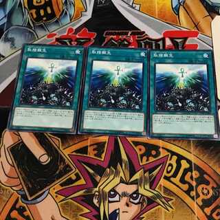 取捨蘇生 5 ノーマル 3枚セット てら