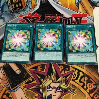 瞬間融合 5 ノーマル 3枚セット てら