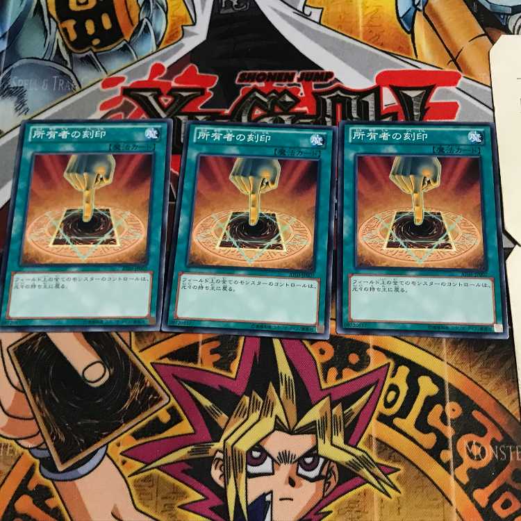 Owner's Seal 3 Normal, set of 3 Tera