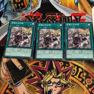 Rookie Fur Hire 4 Normal, set of 3 Tera