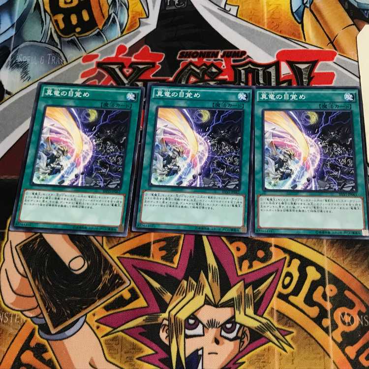 真竜の目覚め 1 ノーマル 3枚セット てら