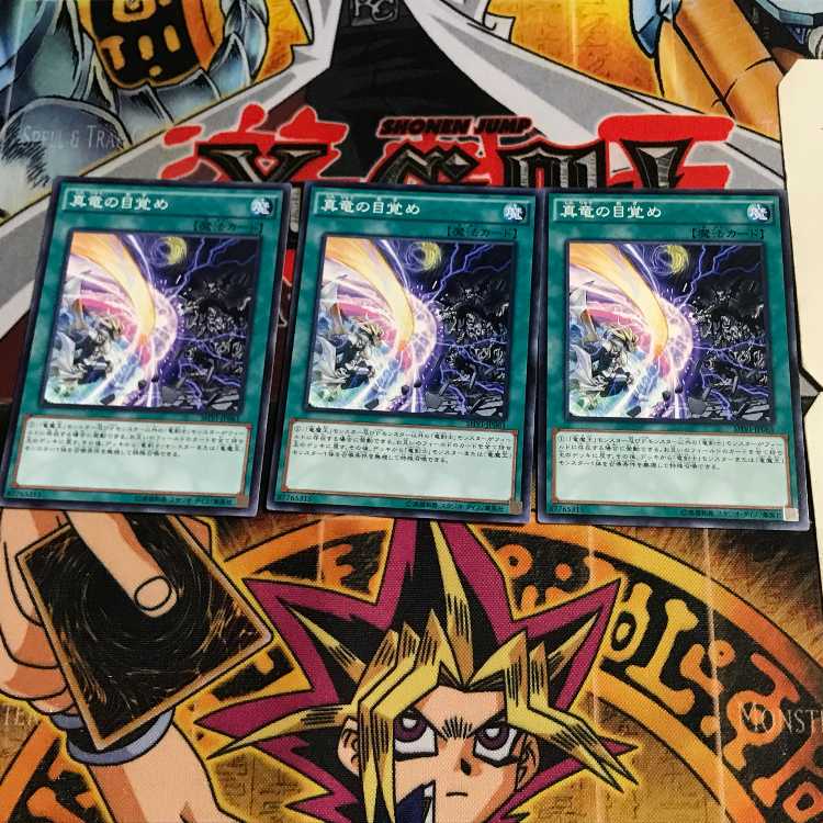 真竜の目覚め 6 ノーマル 3枚セット てら