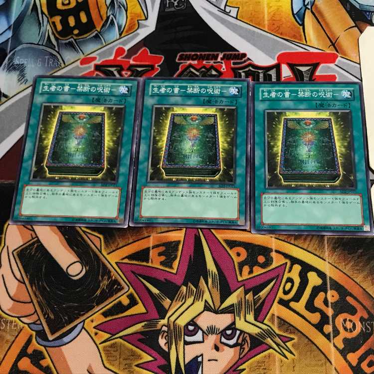 生者の書-禁断の呪術- 10 ノーマル 3枚セット てら