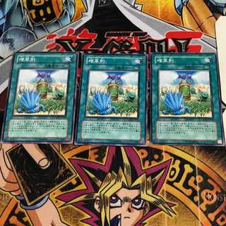 増草剤 2 ノーマル 3枚セット てら