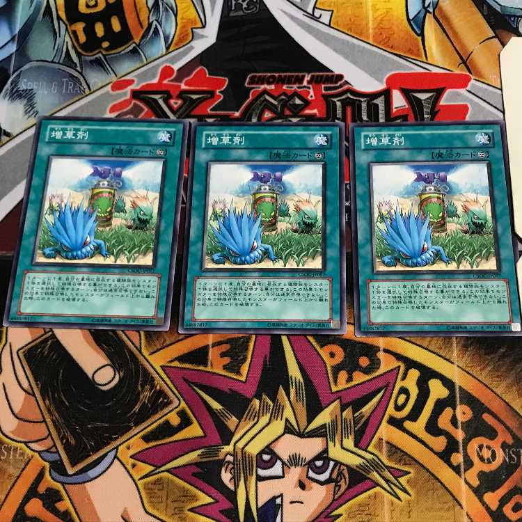 増草剤 3 ノーマル 3枚セット てら