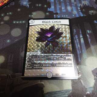 デュエルマスターズ