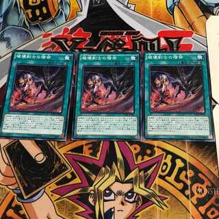 破壊剣士の宿命 3 ノーマル 3枚セット てら