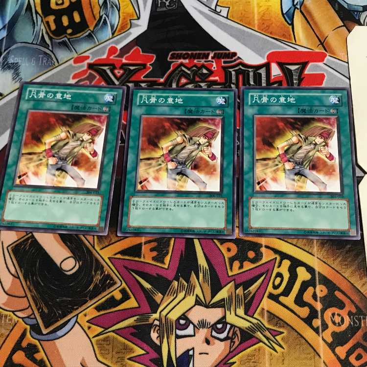 Heart of the Underdog 4 Normal 3-card set Tera