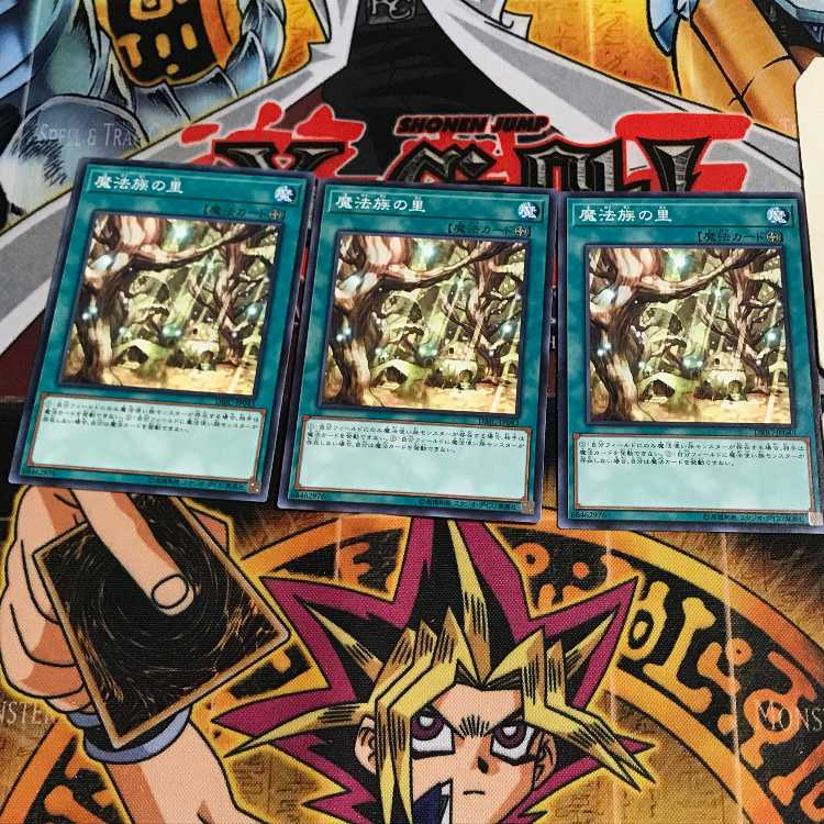 Secret Village of the Spellcasters 6 Normal 3-card set Tera