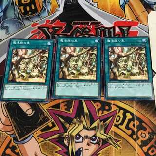 Secret Village of the Spellcasters 8 Normal, set of 3 Tera