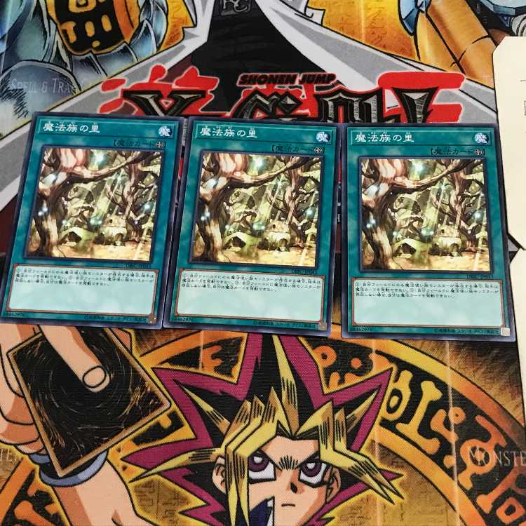 魔法族の里 10 ノーマル 3枚セット てら