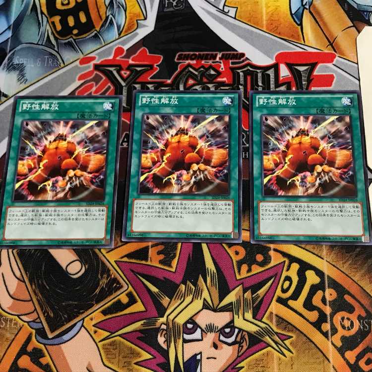 野生解放 2 ノーマル 3枚セット てら