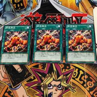 野生解放 2 ノーマル 3枚セット てら