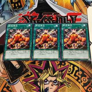 野生解放 3 ノーマル 3枚セット てら