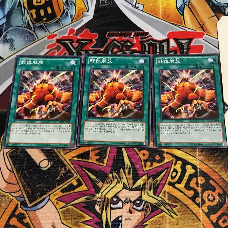 野生解放 4 ノーマル 3枚セット てら