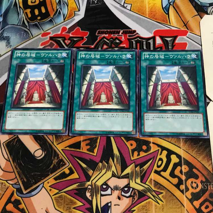 神の居城-ヴァルハラ 10 ノーマル 3枚セット てら