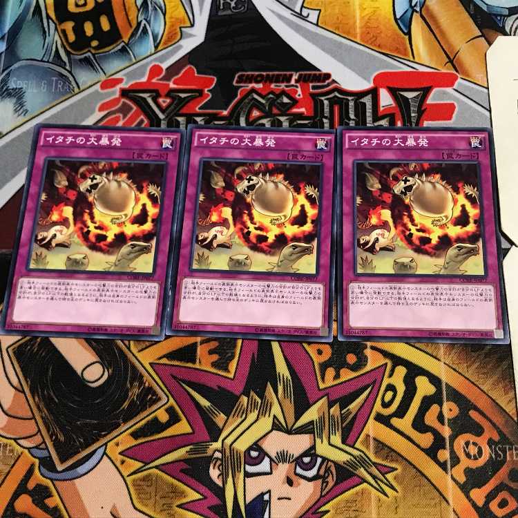 イタチの大暴発 5 ノーマル 3枚セット てら