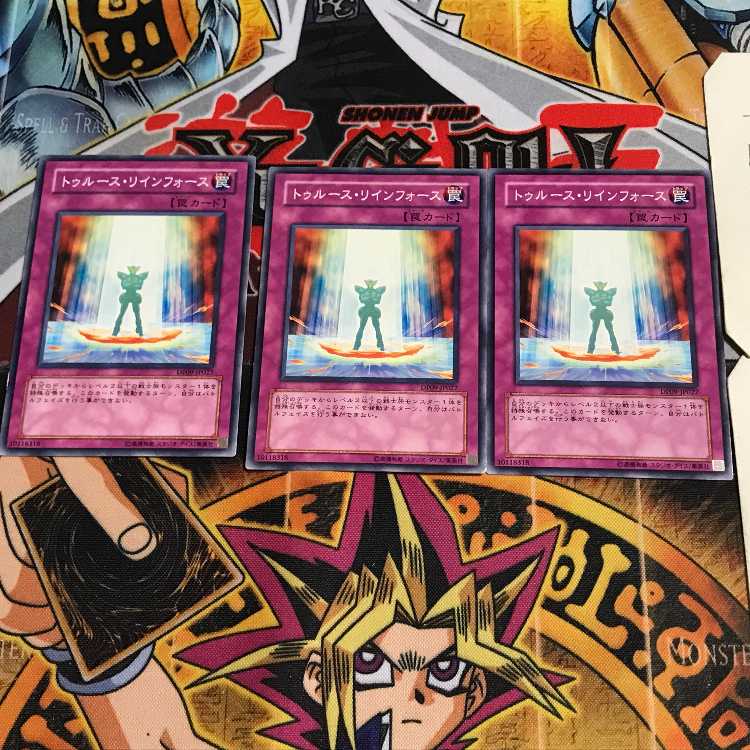 トゥルース・リィンフォース 6 ノーマル 3枚セット てら